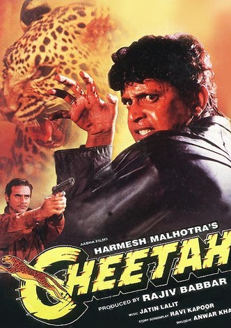 Cheetah