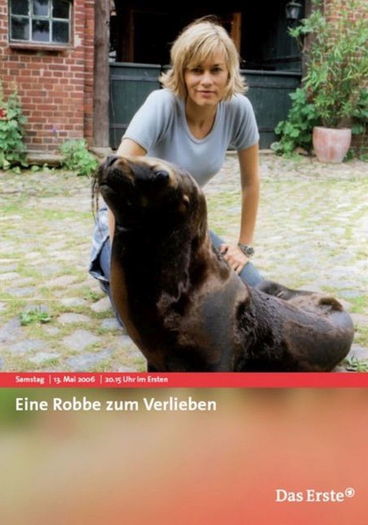 Eine Robbe zum Verlieben