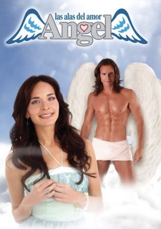 Ángel, las alas del amor