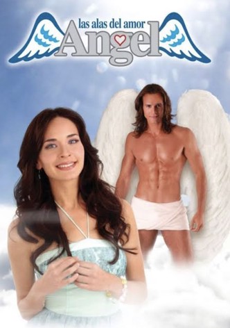 Ángel, las alas del amor