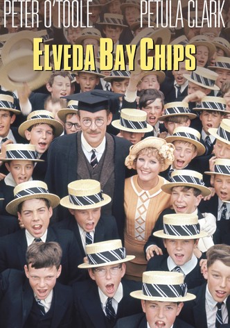 Elveda Bay Chips