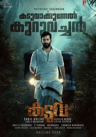 Kaduva poster
