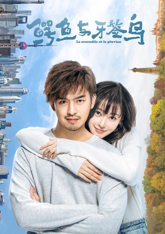 Crocodile and the Plover Bird