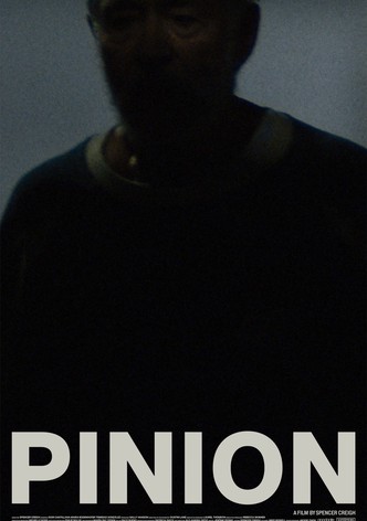 Pinion