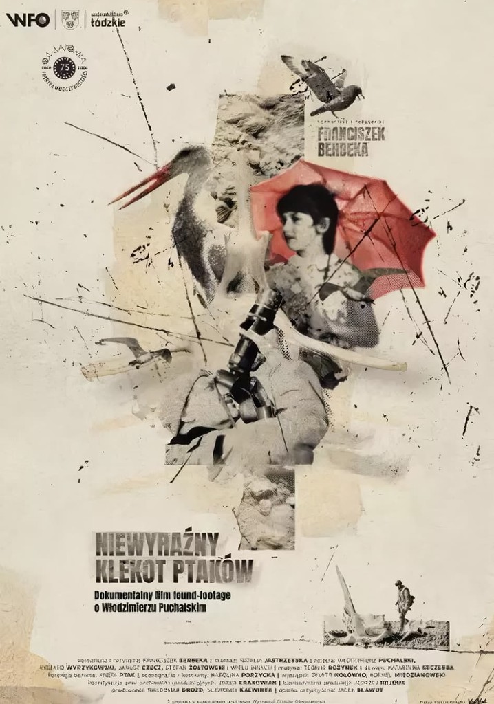 The Faint Clatter of Birds