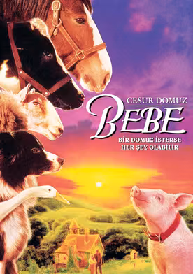 Bebe