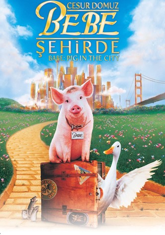 Cesur Domuz Bebe: Şehirde