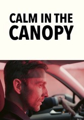 Cisza w koronach drzew