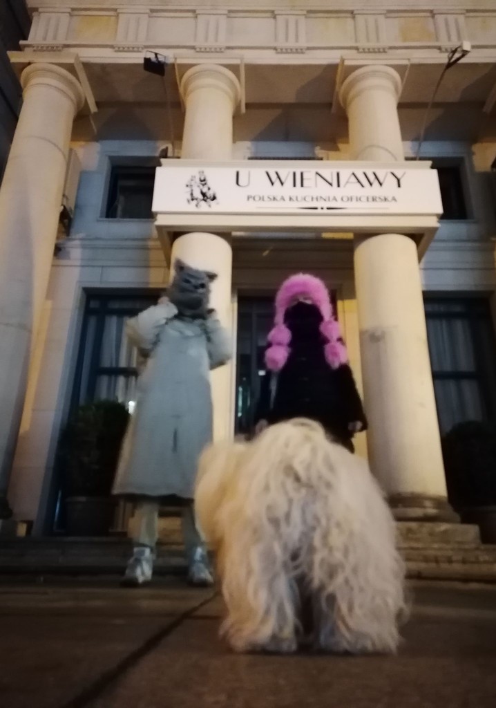 D'Vinci Testa Rosa Now