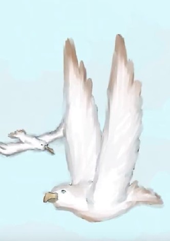 Albatross