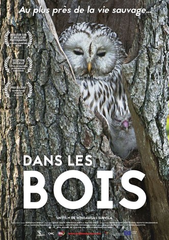 Dans les bois