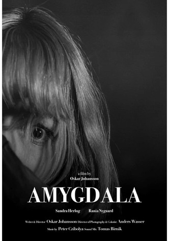 Amygdala