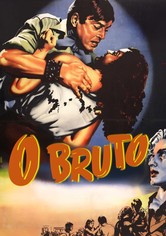 O Bruto