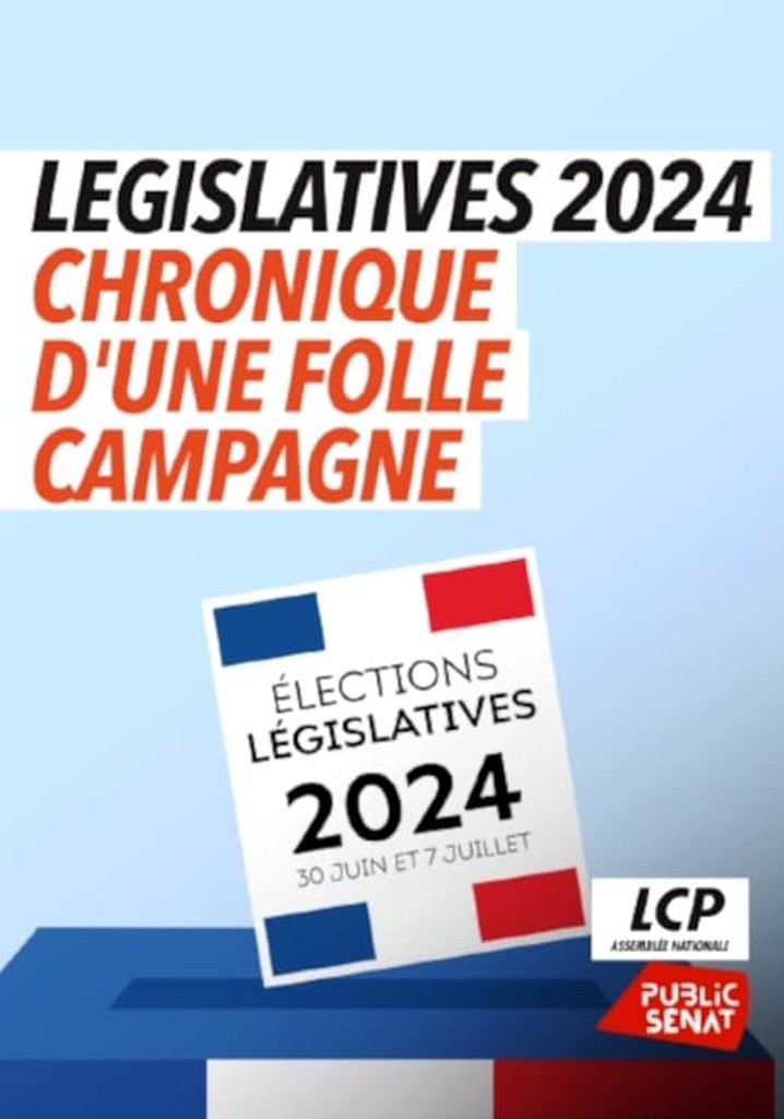Législatives 2024 : chronique d'une folle campagne