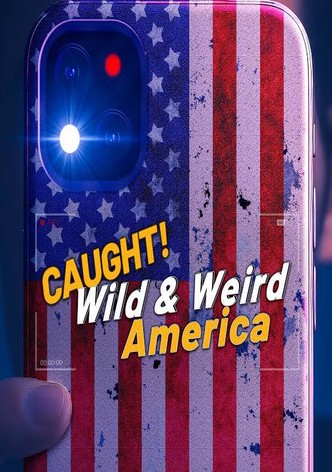 Wild & Weird America