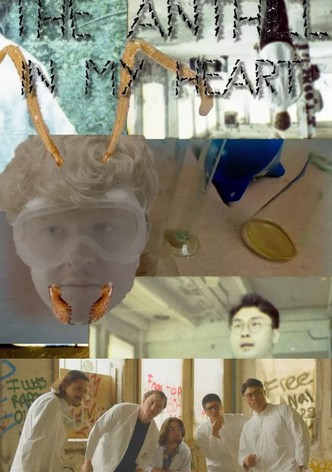 the anthill in my heart