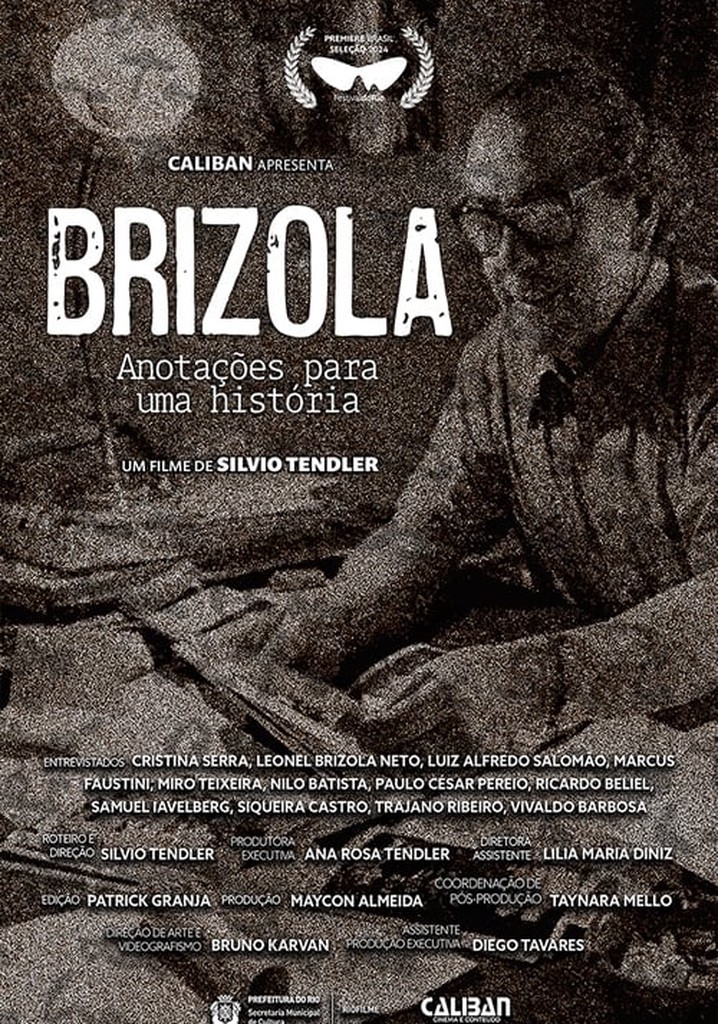 Brizola, Anotações para uma História
