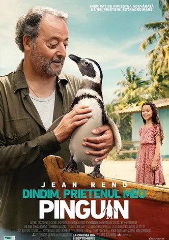 DinDim, prietenul meu pinguin