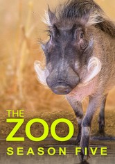 The Zoo - Sezonul 5