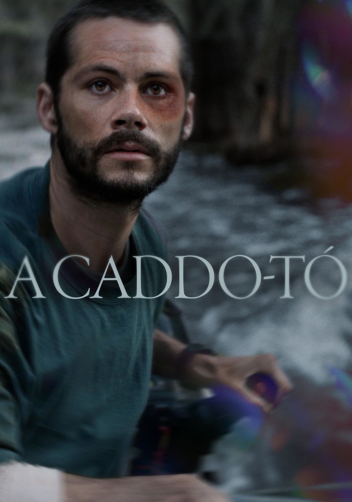 A Caddotó stream hol látható a film online?
