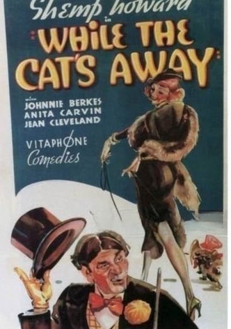 While the Cat's Away