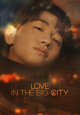 Daedosiui sarangbeob