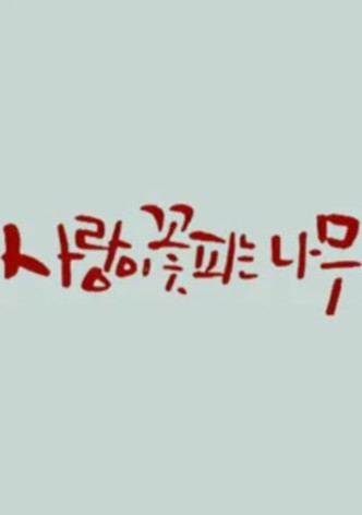 사랑이 꽃피는 나무