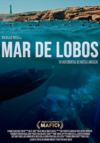 Mar de lobos