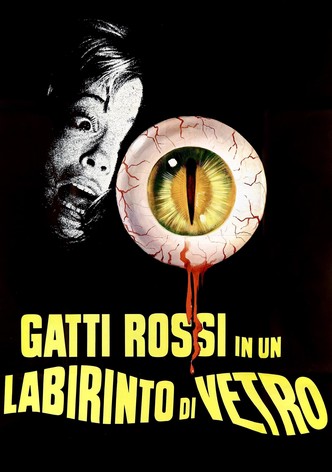 Gatti rossi in un labirinto di vetro