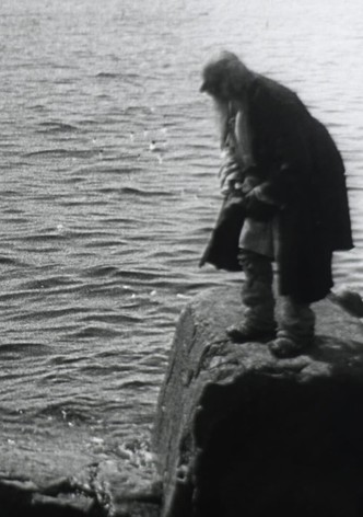The Tale of the Fisherman and the Little Fish