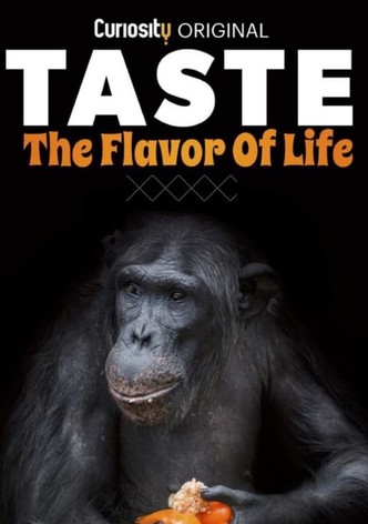 Taste: The Flavor of Life