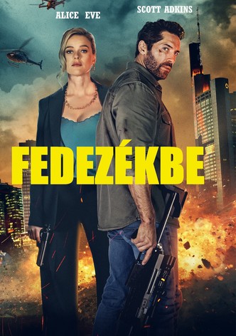 Fedezékbe