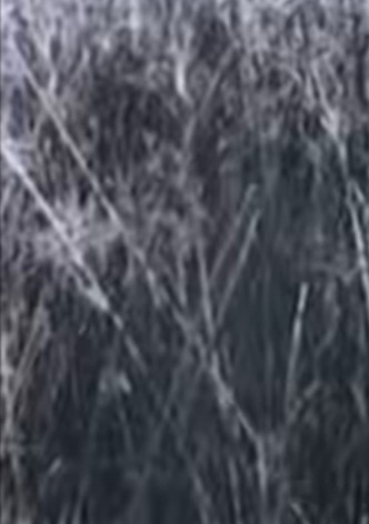 Return to the Sedge Fields