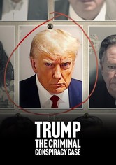 Trump: Ein US-Präsident vor Gericht