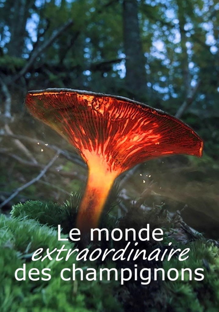 Le monde extraordinaire des champignons