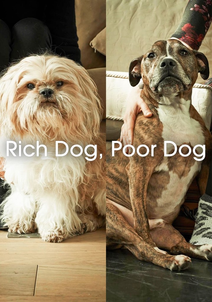 Rich Dog, Poor Dog