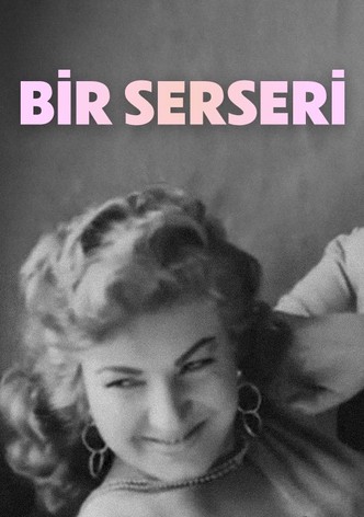 Bir serseri