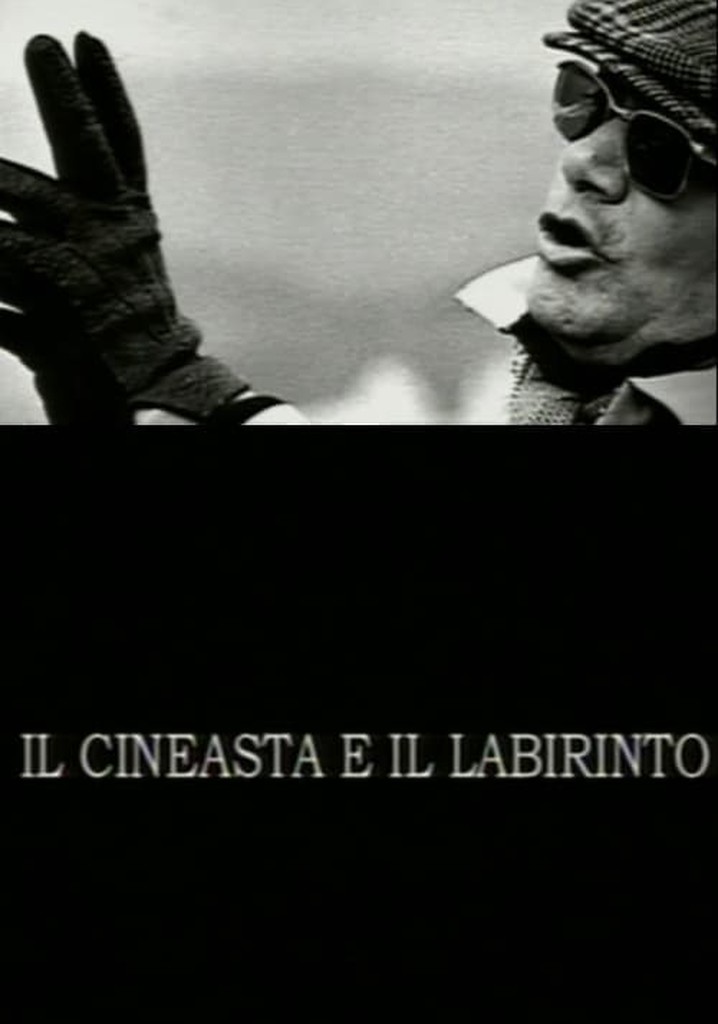 The Filmmaker and the Labyrinth