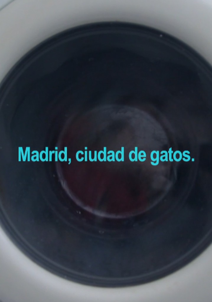 Madrid, City of Cats