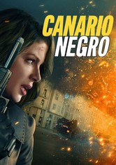 Canário Negro