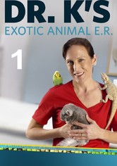 Doctora K: Animales exóticos