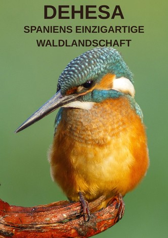 Spaniens einzigartige Waldlandschaft: Dehesa