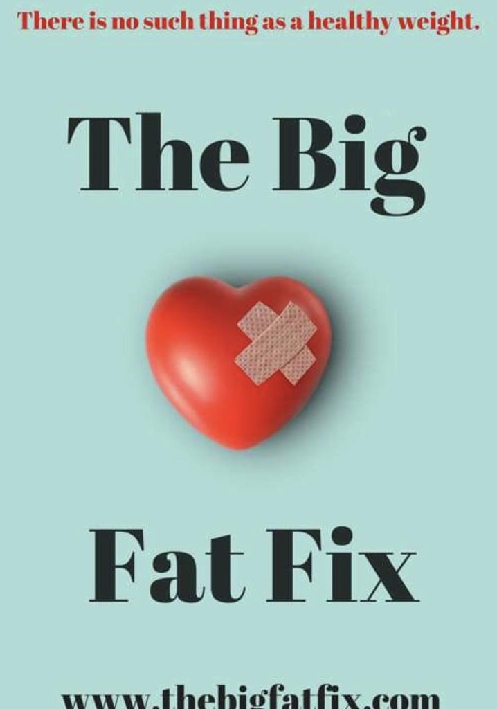 The Big Fat Fix
