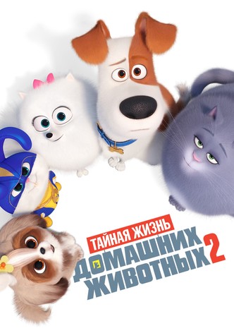 Тайная жизнь домашних животных 2