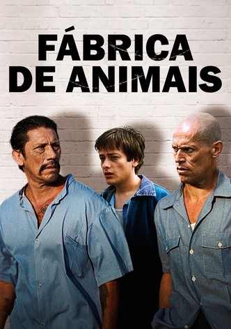 Fábrica de Animais