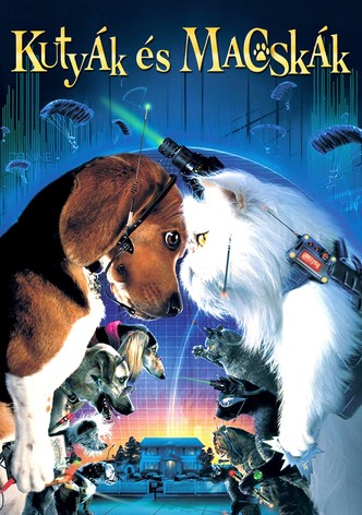 Kutyák és macskák