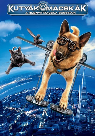 Kutyák és macskák - A rusnya macska bosszúja