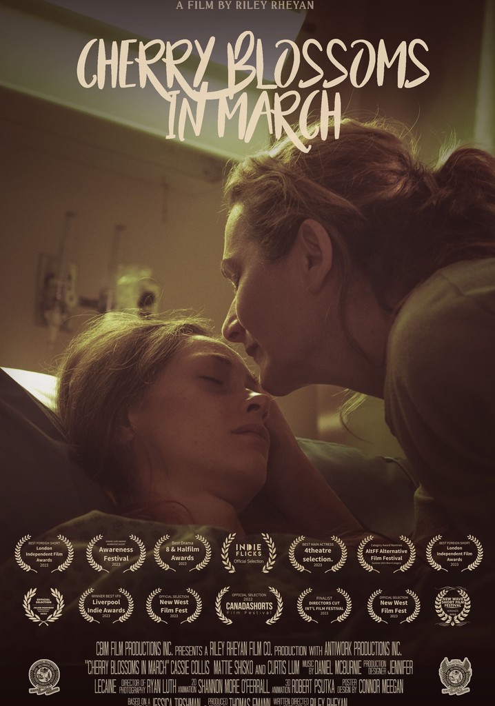 Cherry Blossoms in March