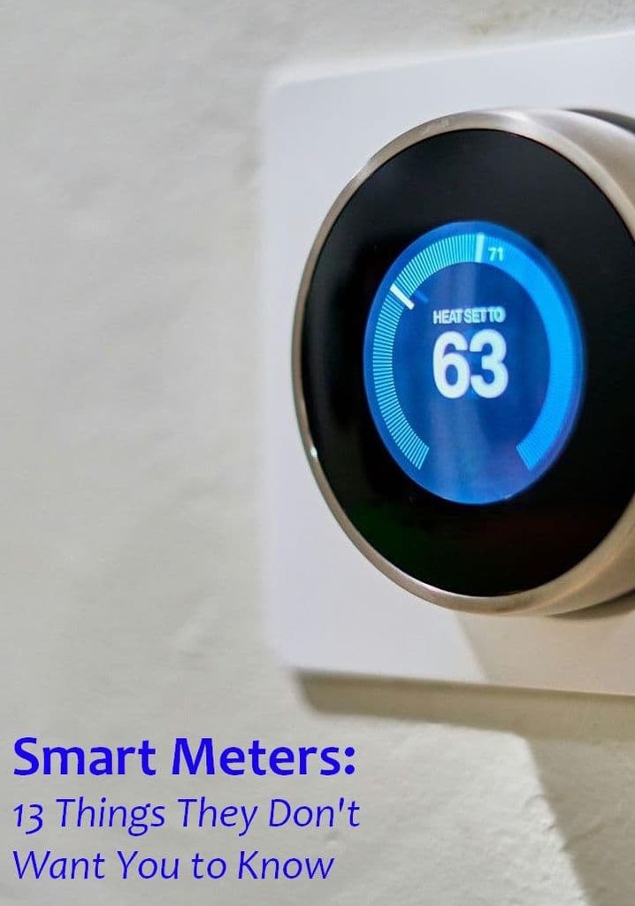 Smart Meters: 13 Things They Don't Want You to Know