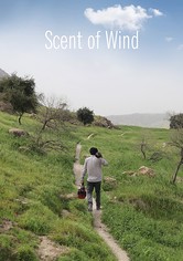 Scent of Wind